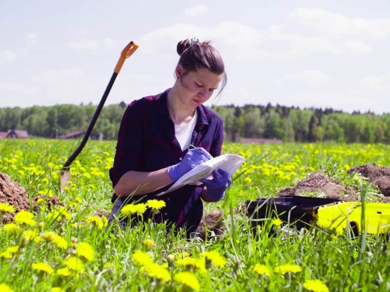 ecologist-green-agenda